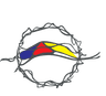 NeuroGrafica
