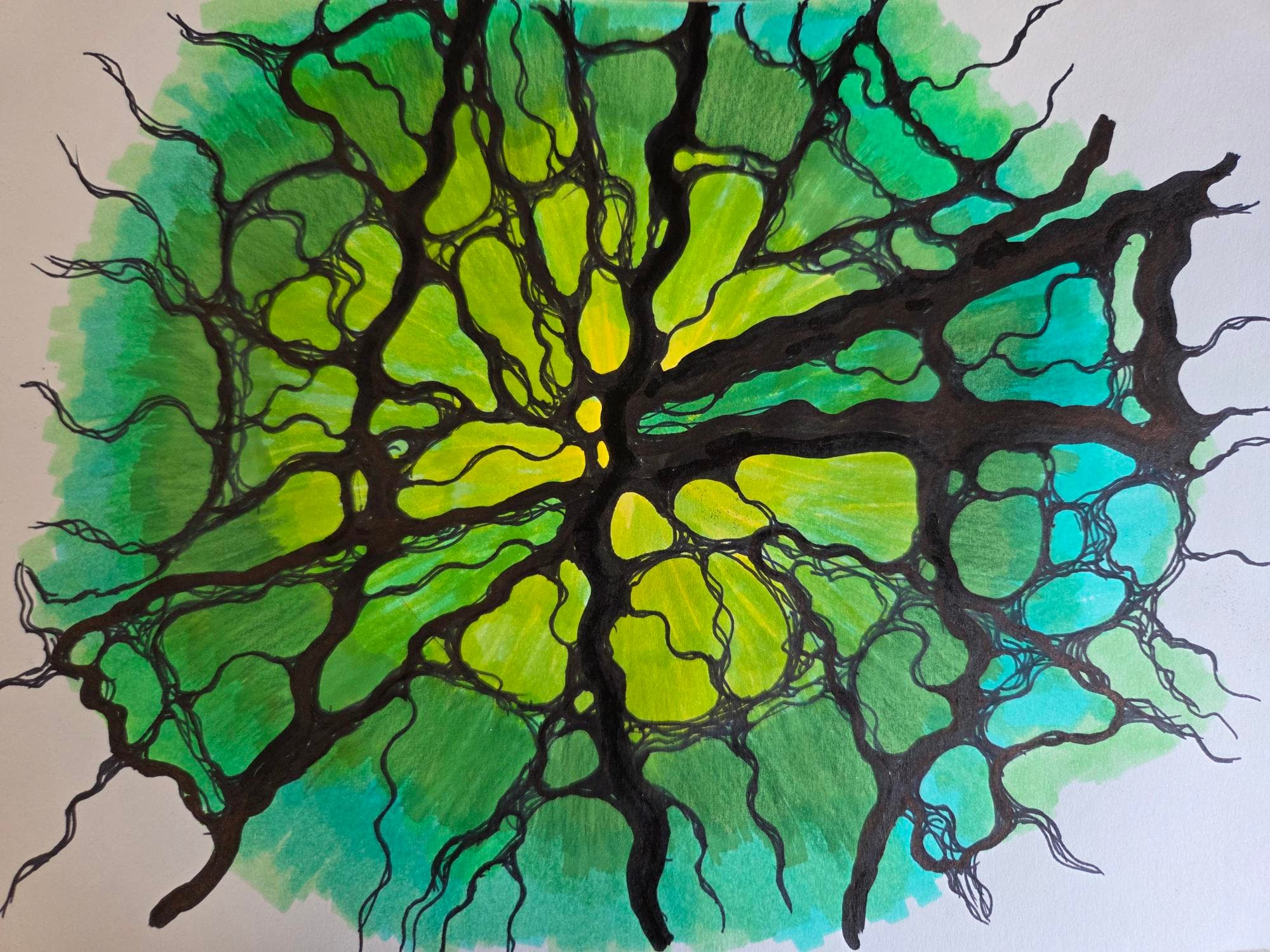 Lucrare NeuroGrafica